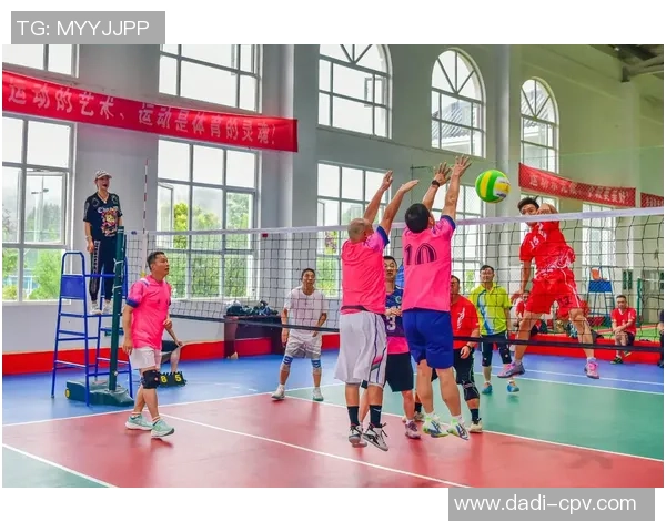 排球篮球足球运动的精彩瞬间与魅力展示图集