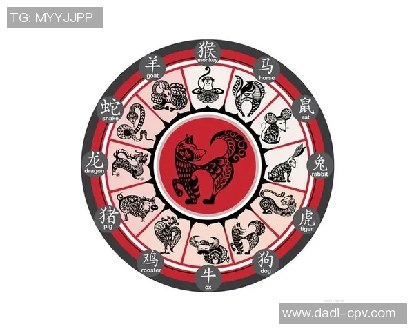 足球明星属相排行揭秘看哪些生肖球员最具魅力与实力