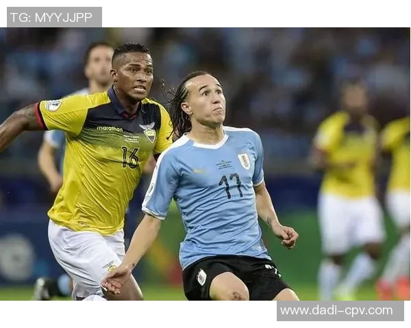 足球明星布里德尔的职业生涯与成就分析及其对足球的影响