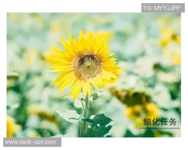 足球明星的励志名言与智慧分享助你追梦成真 足球明星的励志名言与智慧分享助你追梦成真