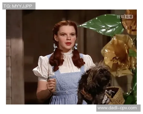 足球明星的奇幻冒险旅程：从绿茵场到动画世界的精彩故事