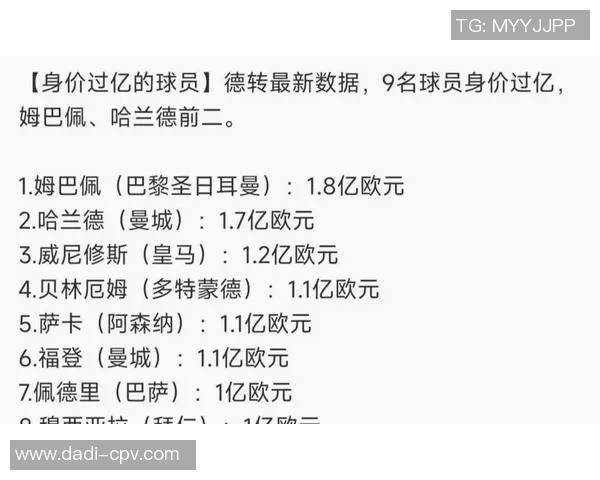 足球明星的身价与收入之间的关系究竟如何揭示了什么样的市场价值和职业发展潜力